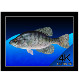 Aquarium 4K 1.0