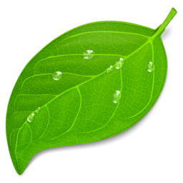 Coda 2.6.10