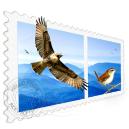 Mail Perspectives 2.2.1