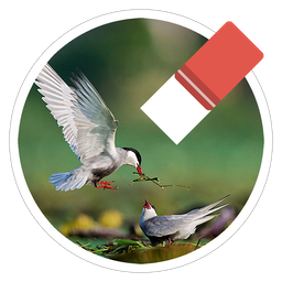 Magic Photo Eraser 1.61