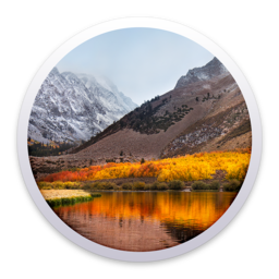 macOS High Sierra 10.13.4 Build 17E99