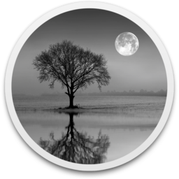 Reflect Studio 2.8