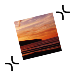 ExactScan Pro 18.11.19