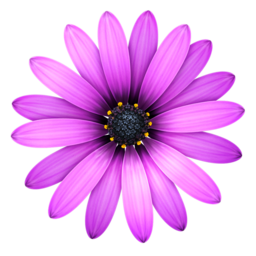 TextMate 2.0.rc.21