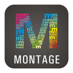 WidsMob Montage 1.12