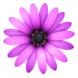 TextMate 2.0.rc.23