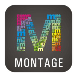 WidsMob Montage 1.15