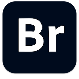 Adobe Bridge 2025