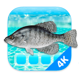 Aquarium 4K 1.0.4