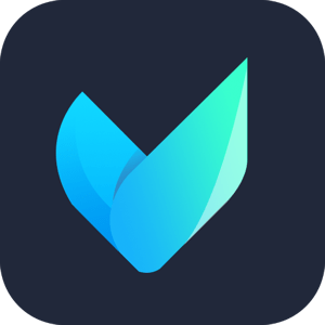 Vidmore Video Converter 2.3.8