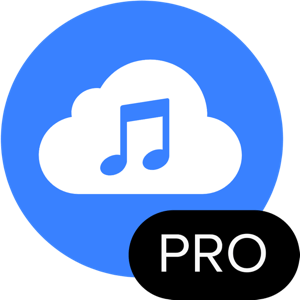 4K YouTube to MP3 Pro 4.4.2