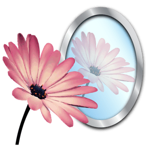 PhotoReflector 1.1.0
