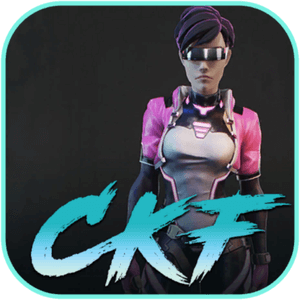 Cyber Knights: Flashpoint