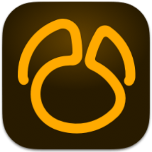 Navicat for SQL Server 17.0.10 