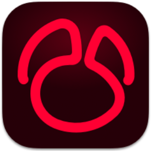 Navicat for Oracle 17.1.5